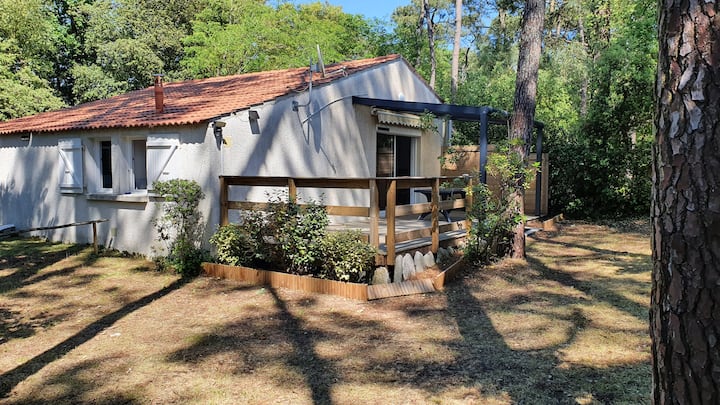 Calm,rest on large sunny wooded property