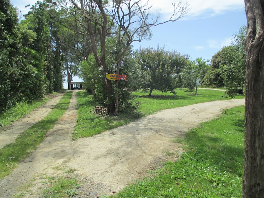 Driveway