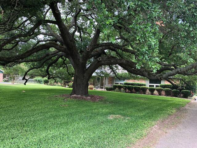 Beautiful Home on 1 Acre of Land.