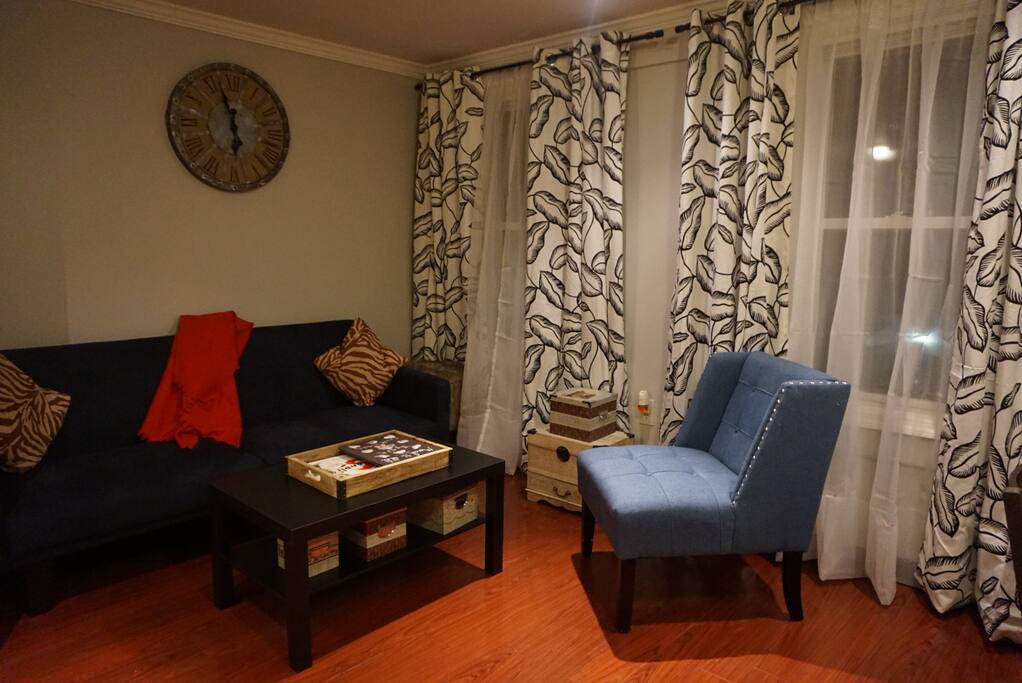 Living area with full sized convertible couch