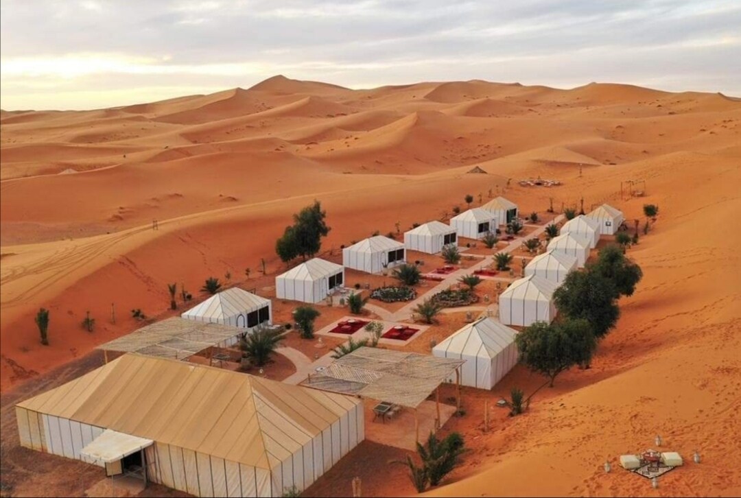 A collection of white tents is arranged amid the expansive sand dunes. Pathways connect the structures, surrounded by small patches of greenery and seating areas. The desert landscape extends in the background, showcasing undulating waves of sand under a soft sky.
