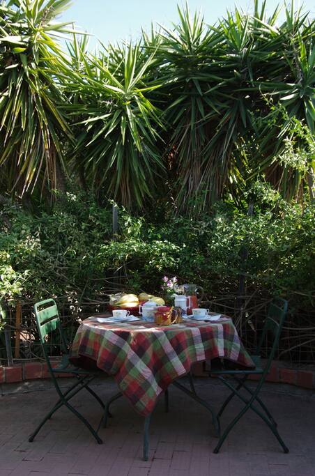 Breakfast in the garden