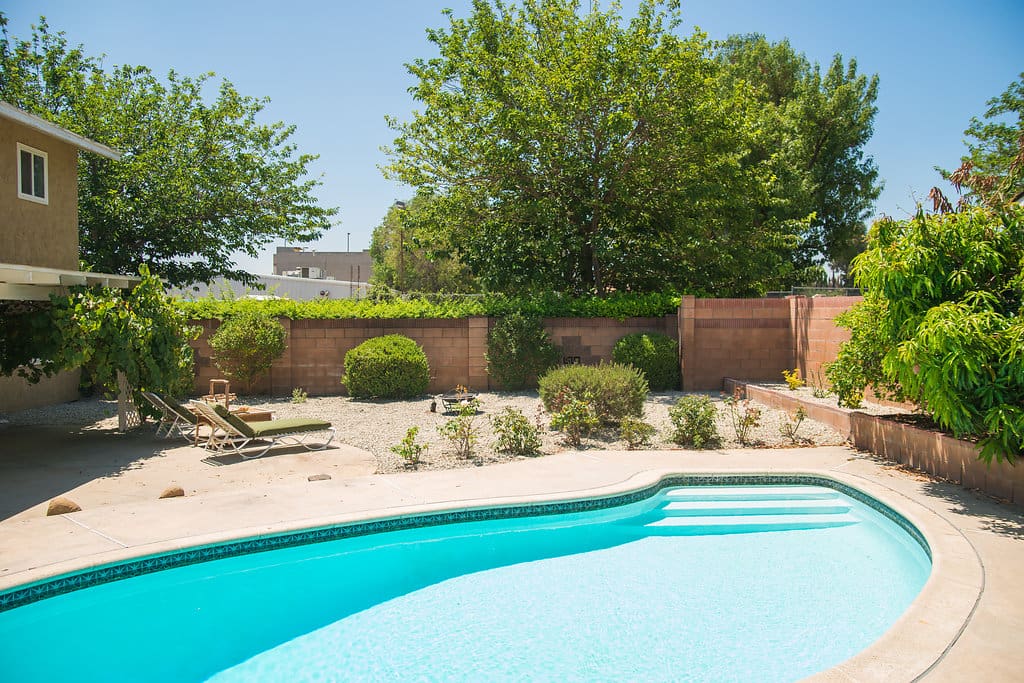 Who needs a pool? This guy.