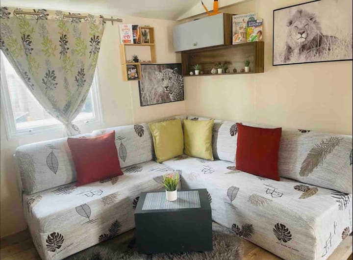Mobil-home 😍 Marque Irm Modèle Luminosa 40m²😍 - Saint-Julien-en-Born