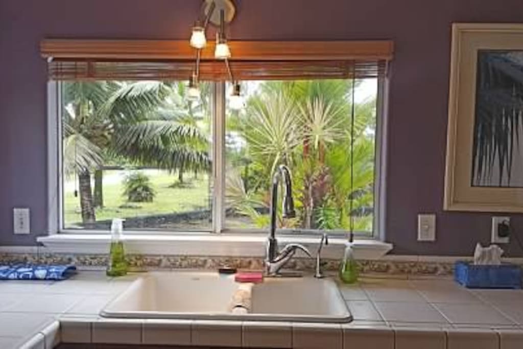 kitchen window