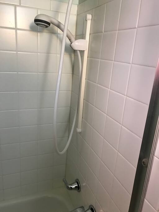Removable shower head