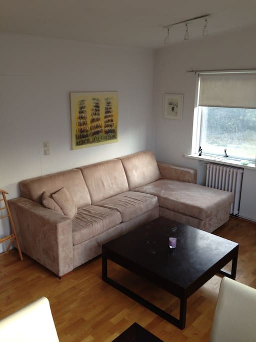 the sleeping sofa, it has a queen bed when it is open