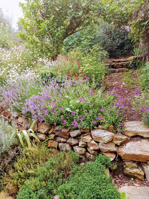 Fresh herbs and flowers