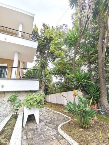 Botanique House gallery image 4