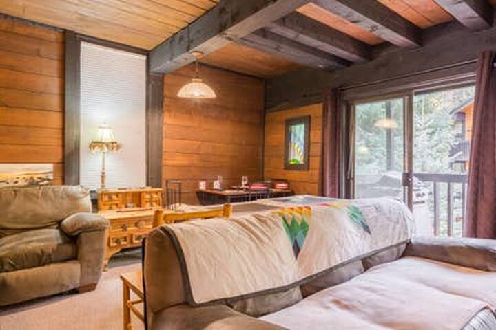 Interlochen 2br Condo furn incl utilities by month