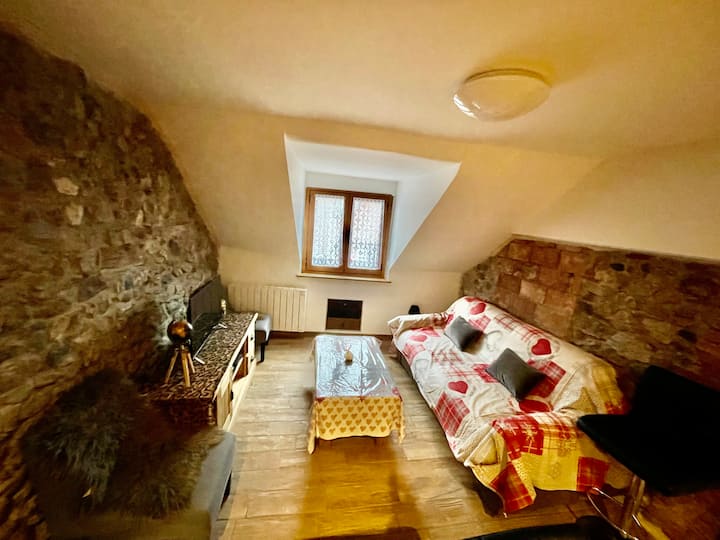 Annecy Duplex 4/6 Pers +Clim 4étage Vieille Ville - Lac d'Annecy