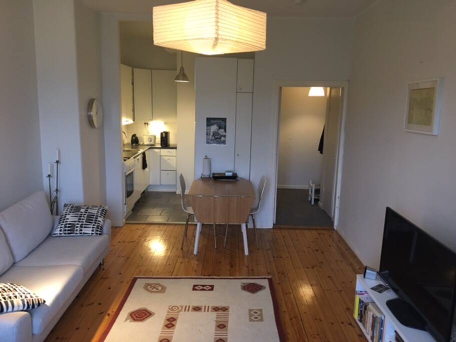 The room with bed and sleeping sofa. Kitchen in the left corner and dining table in the middle.