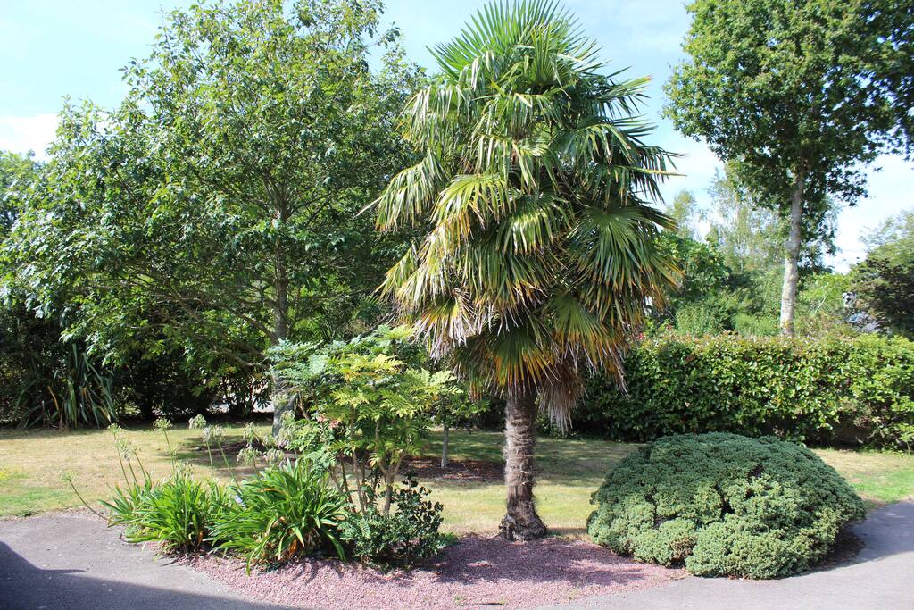 Jardin