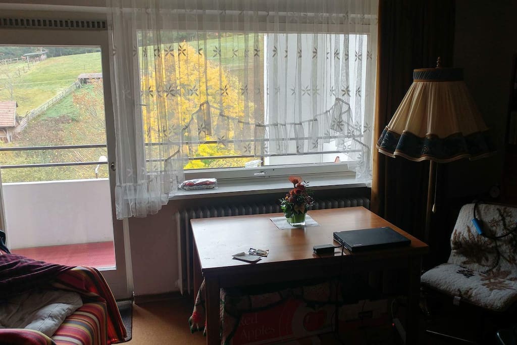 Partial view of balcony and hillside.