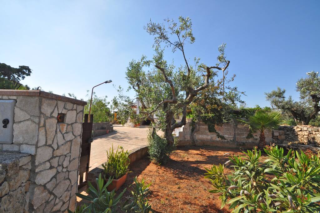 Giardino