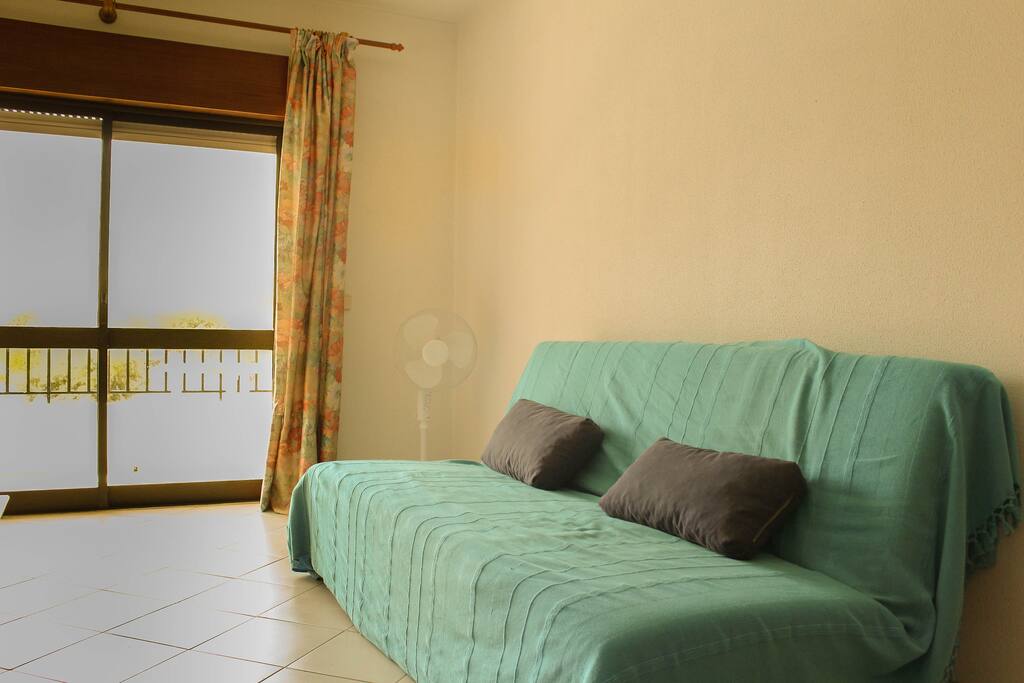 Living Room with convertible sofa for 2 persons