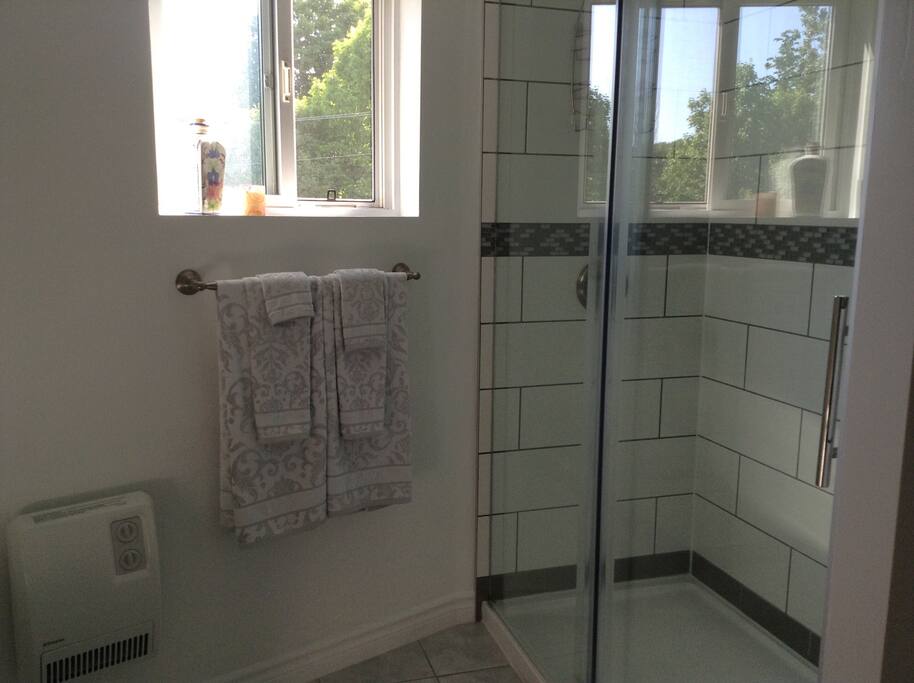 Bathroom all renovated and new with nice new shower.