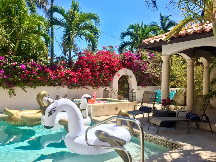 Our beautiful Swans and flamingos wish you a warm welcome!