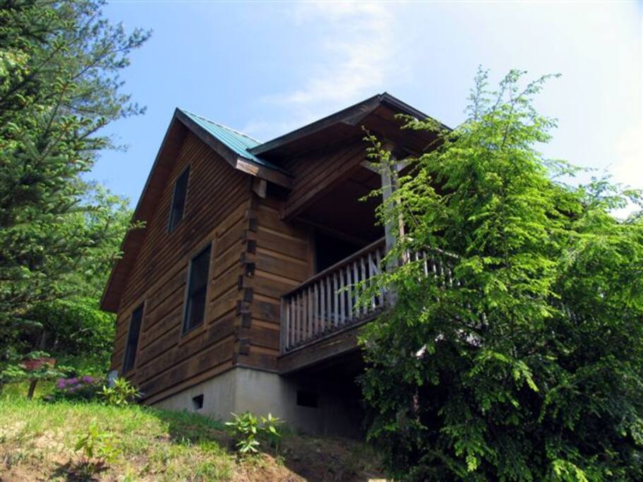 This is the view from the paved road looking up at the cabin.