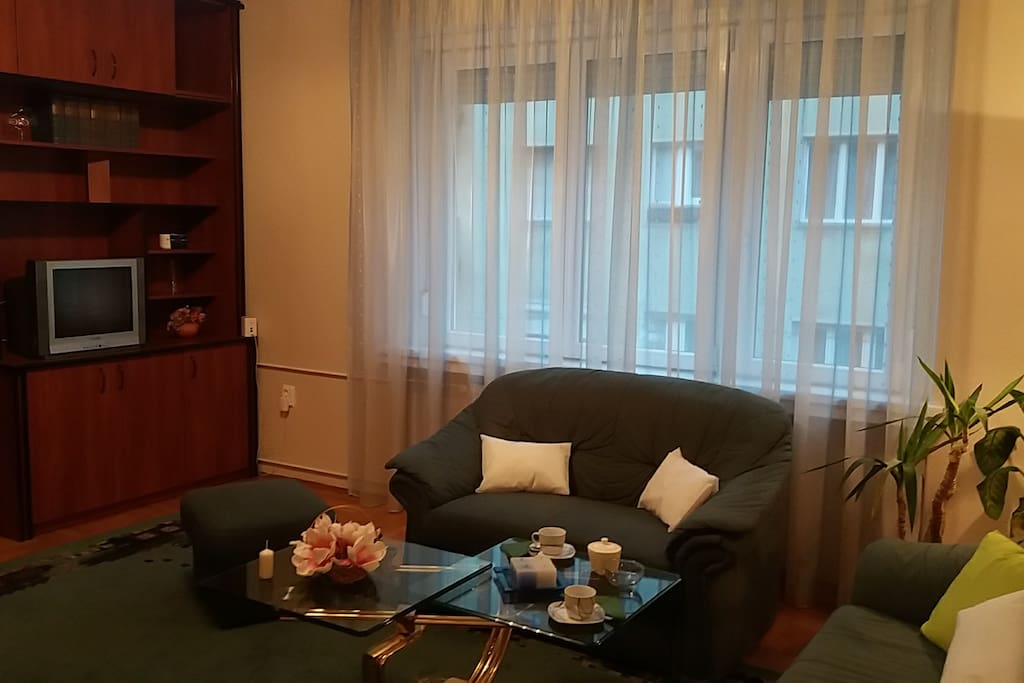 Living room window
