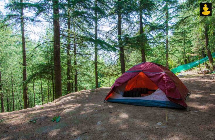 Airbnb Chail Holiday Rentals Places To Stay Himachal