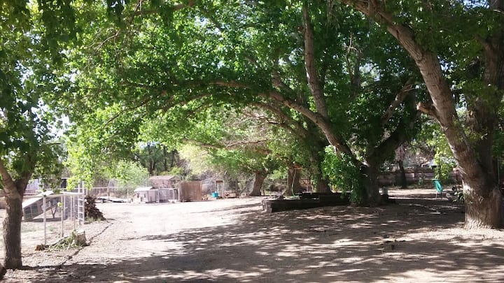 Tranquility Ranch Under the Trees Rm#1 -Full