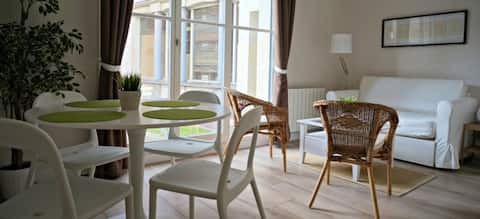 Top performing Airbnb: charming 2 rooms old Lille , terrace ,parking. in Vieux Lille