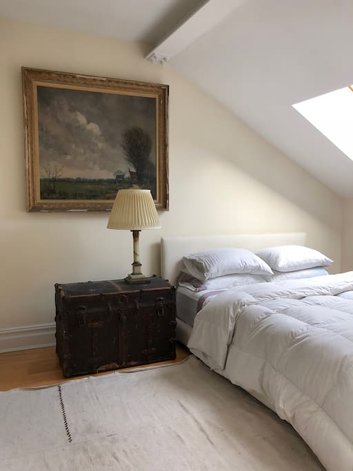 Comfy queen and skylight in private bedroom