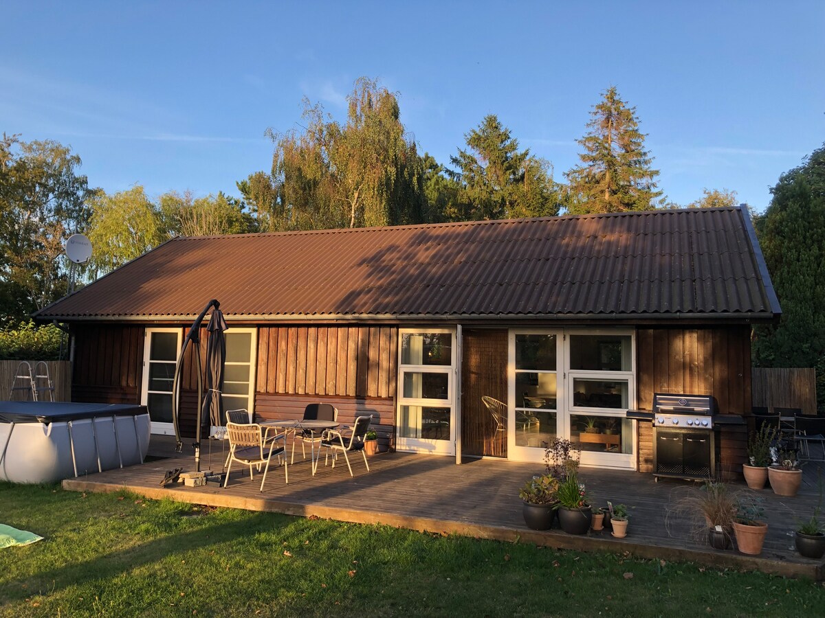A spacious wooden summer house is shown, featuring large glass doors that allow natural light to brighten the interior. A large terrace is presented, equipped with outdoor seating, a gas grill, and a swimming pool, surrounded by potted plants and greenery.