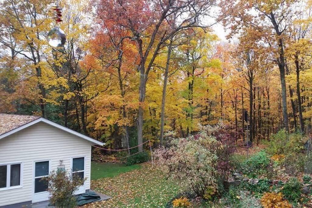 Guest house in the fall