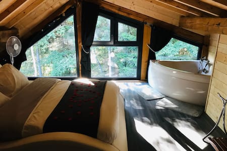 Le chalet des BUCH , moderne avec jacuzzi