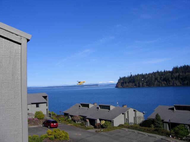 Captain Berg's Getaway