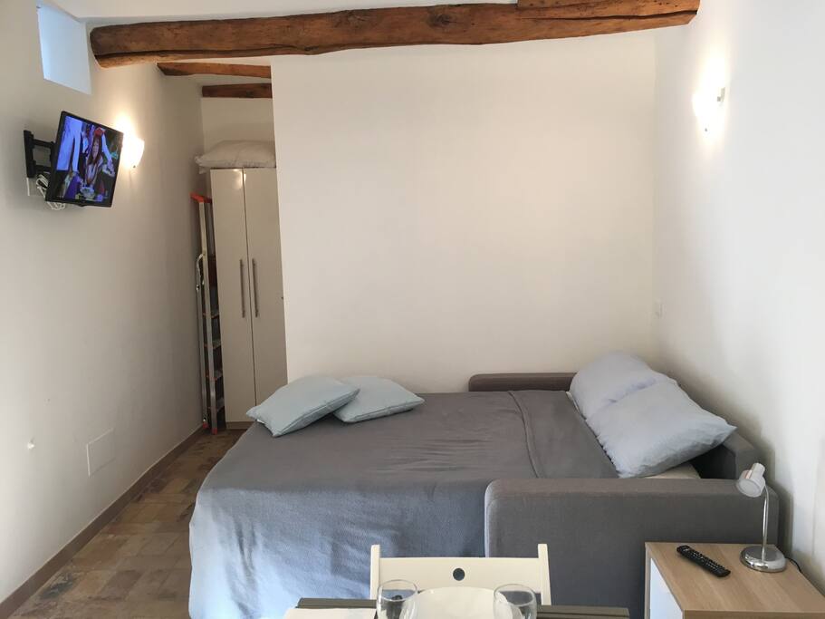 Delux Extra-Thick Bed also converts to sofa