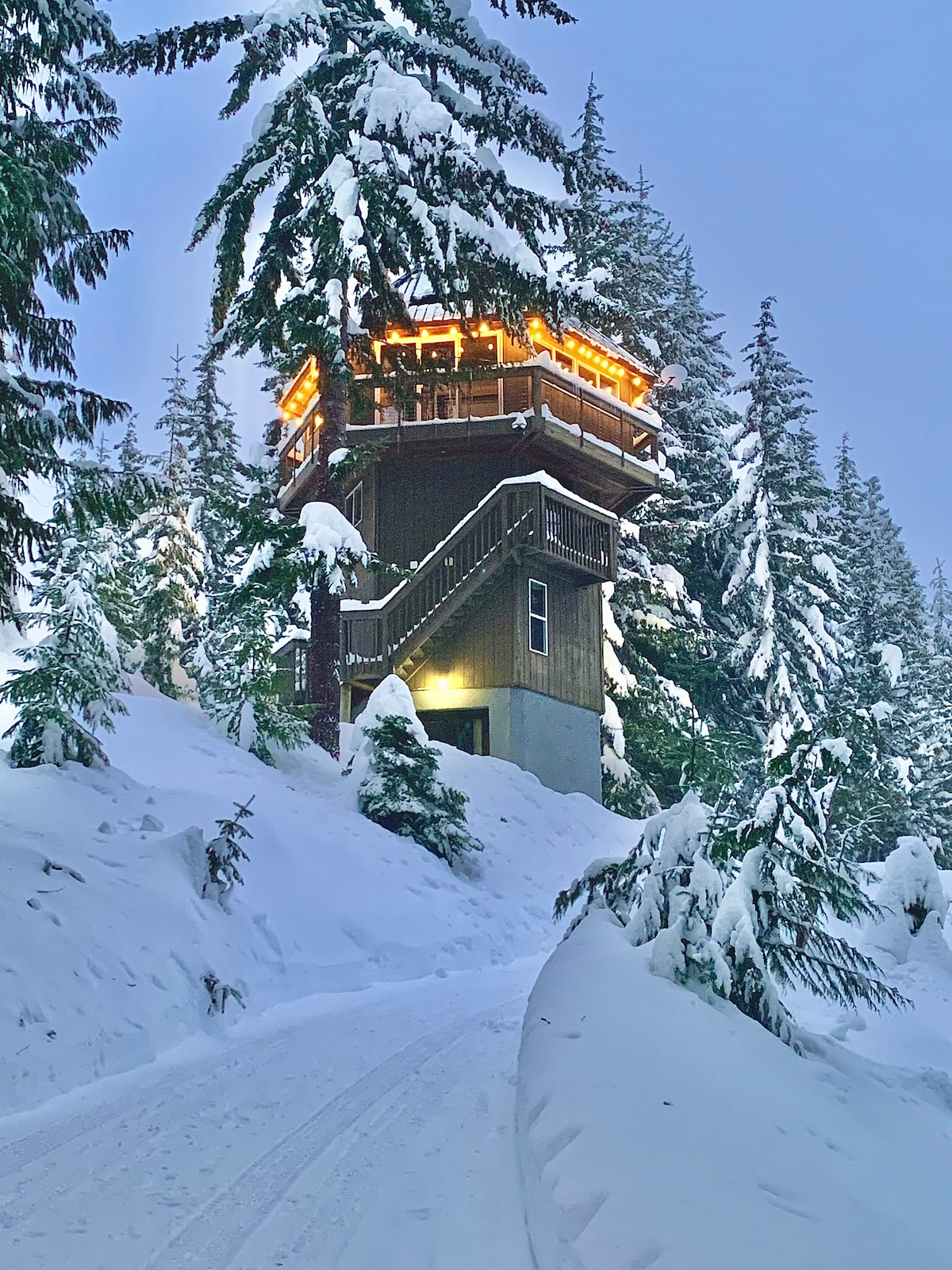 The Mountain Tower Cabin is nestled among snow-covered evergreens, showcasing a striking five-story structure adorned with warm lights. A winding path leading to the entrance is visible, framed by the serene winter landscape blanketed in fresh snow.