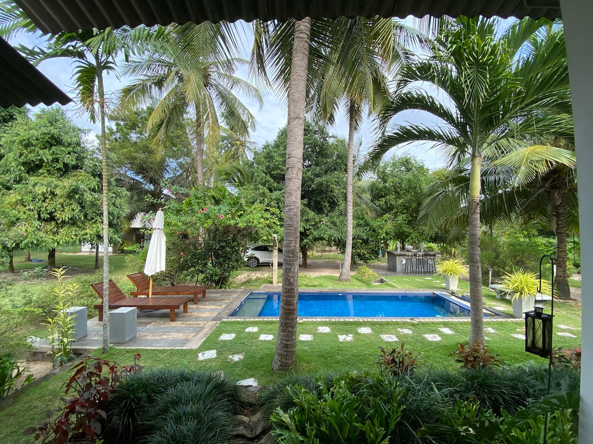 A private pool is framed by lush greenery and tropical palm trees, offering a serene environment for relaxation. Wooden lounge chairs are placed nearby, providing ideal spots to enjoy the surroundings. A pathway leads to the pool, set against a backdrop of vibrant garden flora.