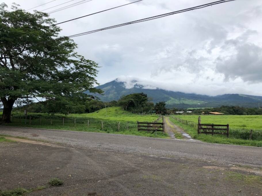 View from the front porch