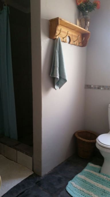 Shower/Toilet