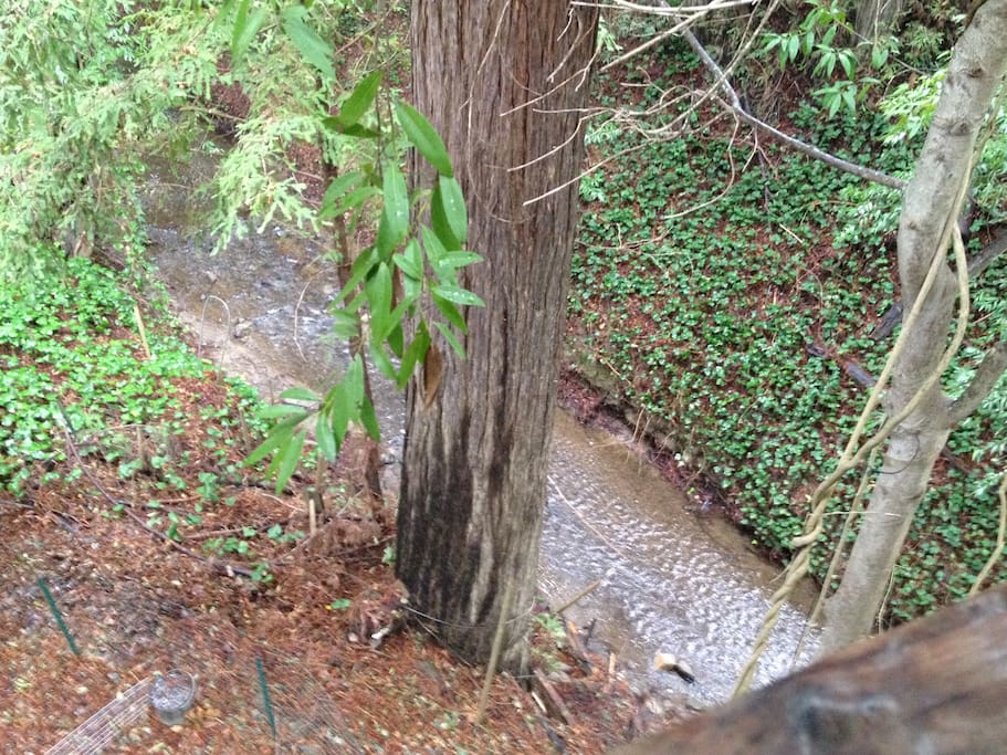 Creekside