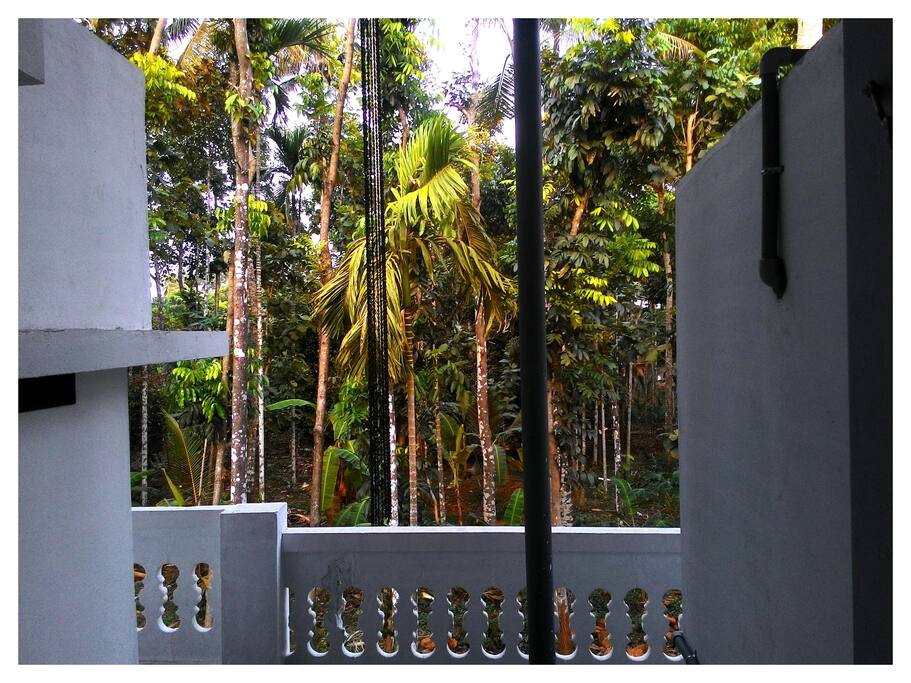View from bedroom