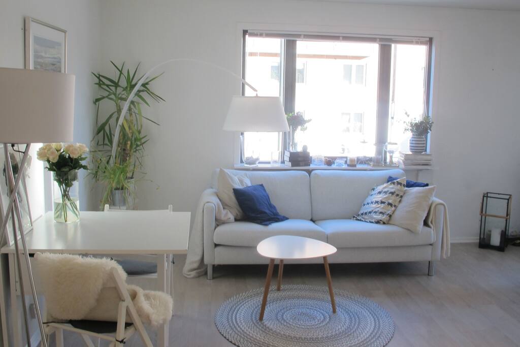 Living room / Kitchen.