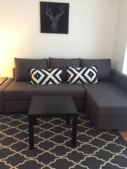 SOFA COUCH TURNS INTO QUEEN BED TO SLEEP 2 PEOPLE
