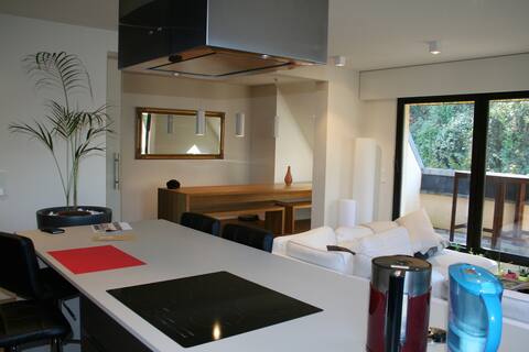 Designer, airy and bright duplex