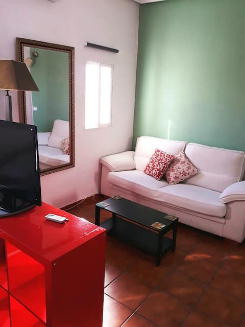 CENTRAL STUDY/ LOFT IN EMBAJADORES