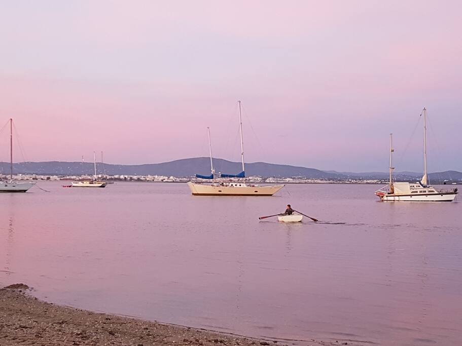 Booby Bloo in the bay