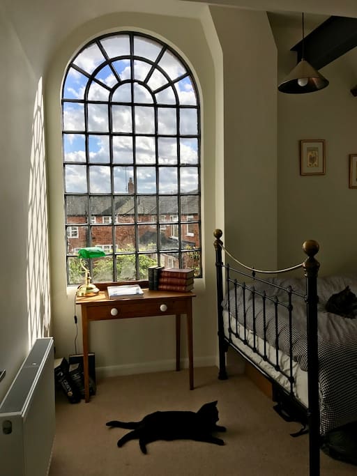 Your view! Again, cat optional...