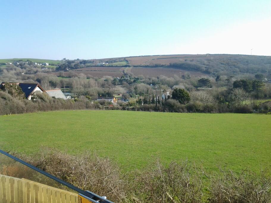View from the Garden