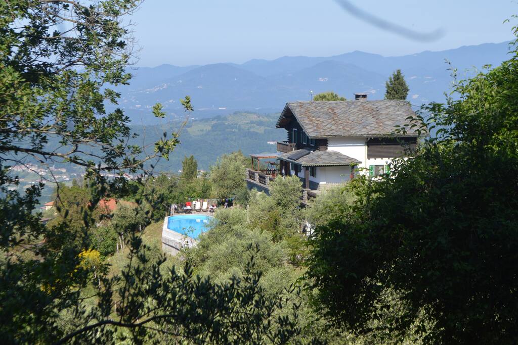 view of the house in the olive grove
