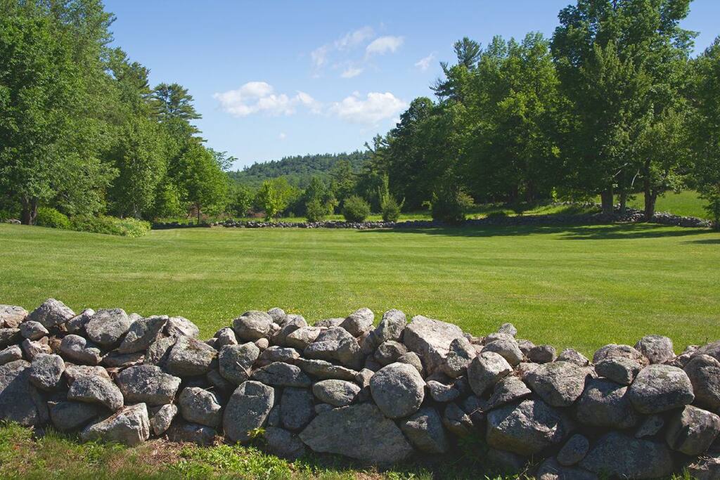 50 acres of fields, orchards and gardens