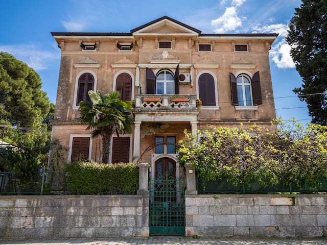 StudioAquarium City Center See View Great location