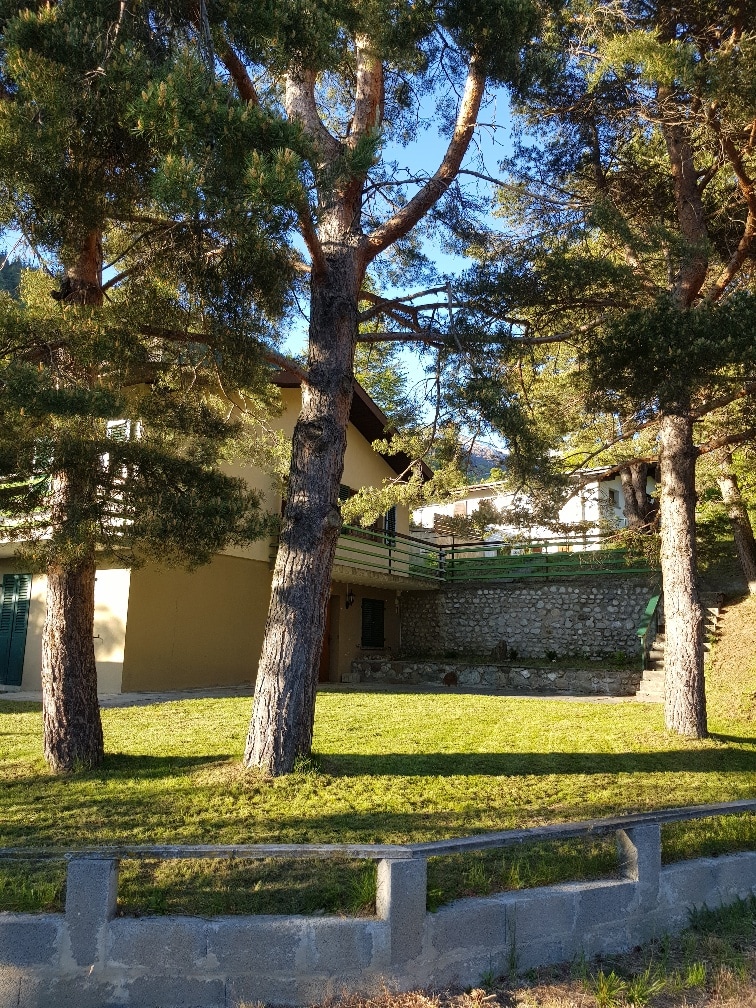 A serene exterior view is presented, featuring a yellow building partially obscured by tall evergreen trees. The lush green lawn surrounds the property, and stone steps lead up to a wooden deck area, suggesting a tranquil and inviting outdoor space.
